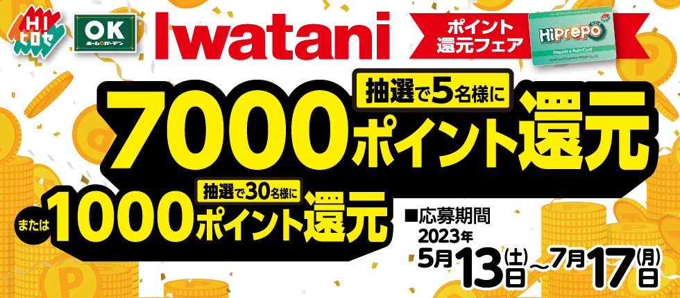 イワタニ ポイント還元フェア!