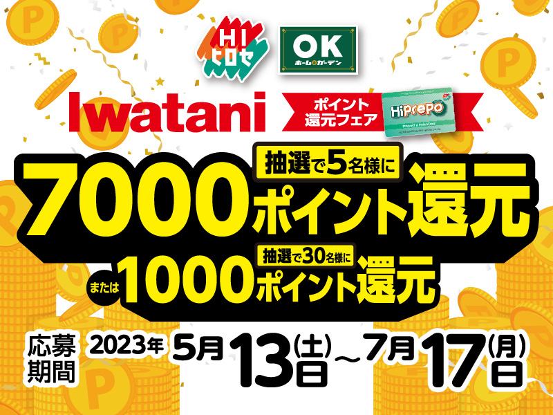 イワタニ ポイント還元フェア!